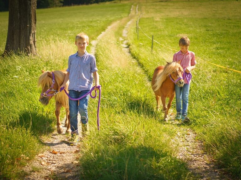 Junge führt ein kleines Ponny im grünen umher.